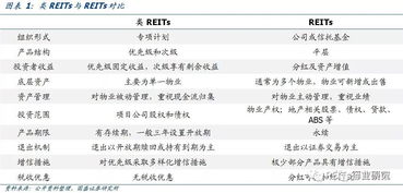 reits˭Ͷ